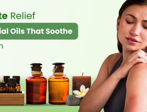 Bug Bite Relief: Essential Oils That Soothe Itchy Skin